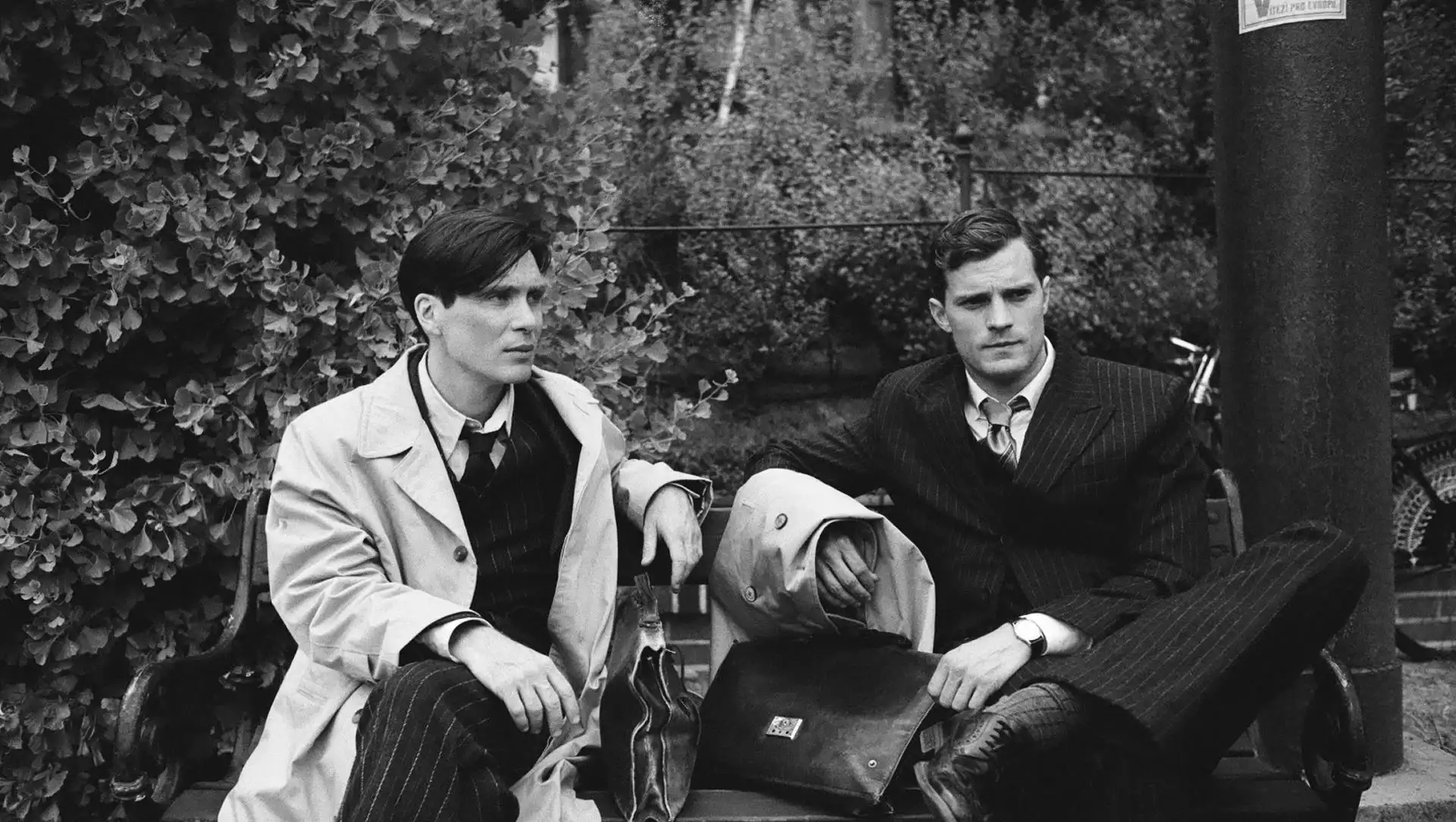 Anthropoid