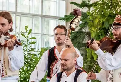 Horňácká muzika Petra Mičky Horňácká muzika Petra Mičky
