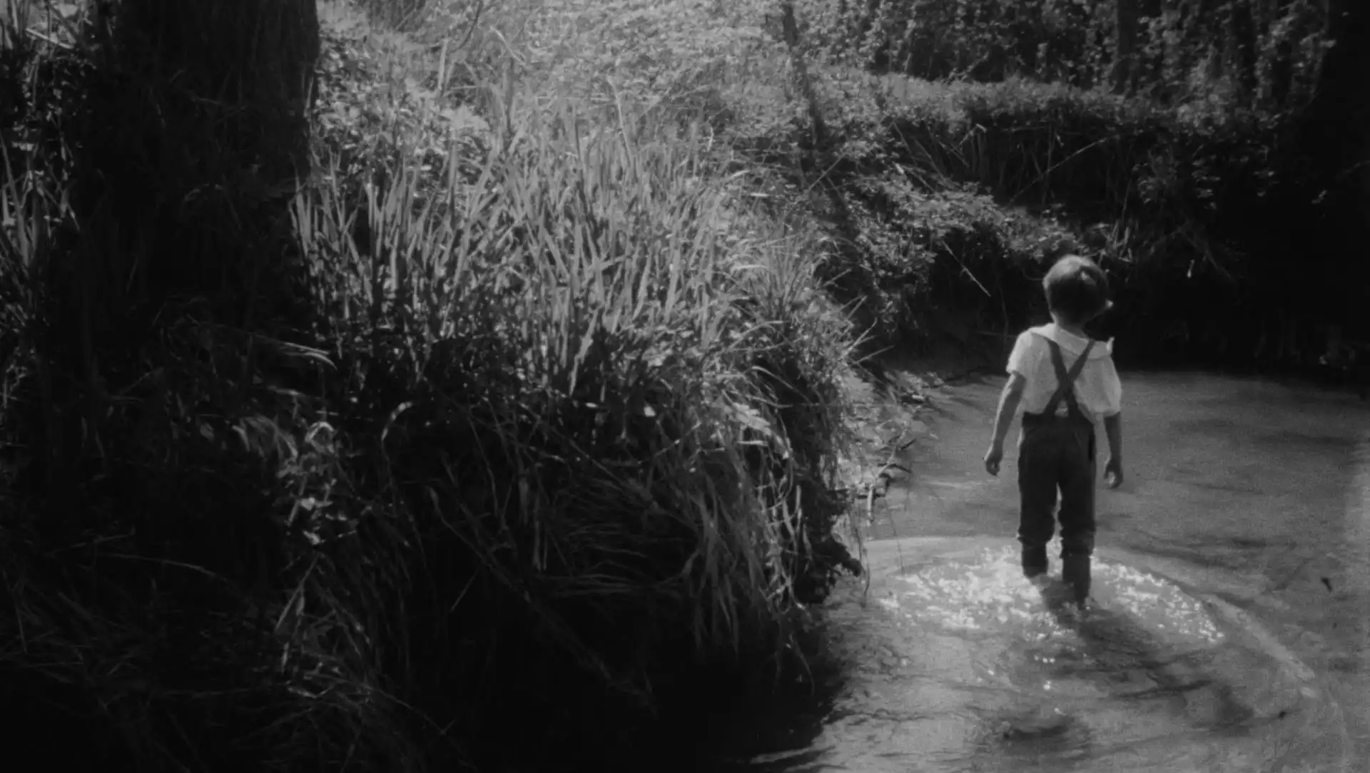 FAMU History: Filmařky 70.-80. léta (kinolektorát)