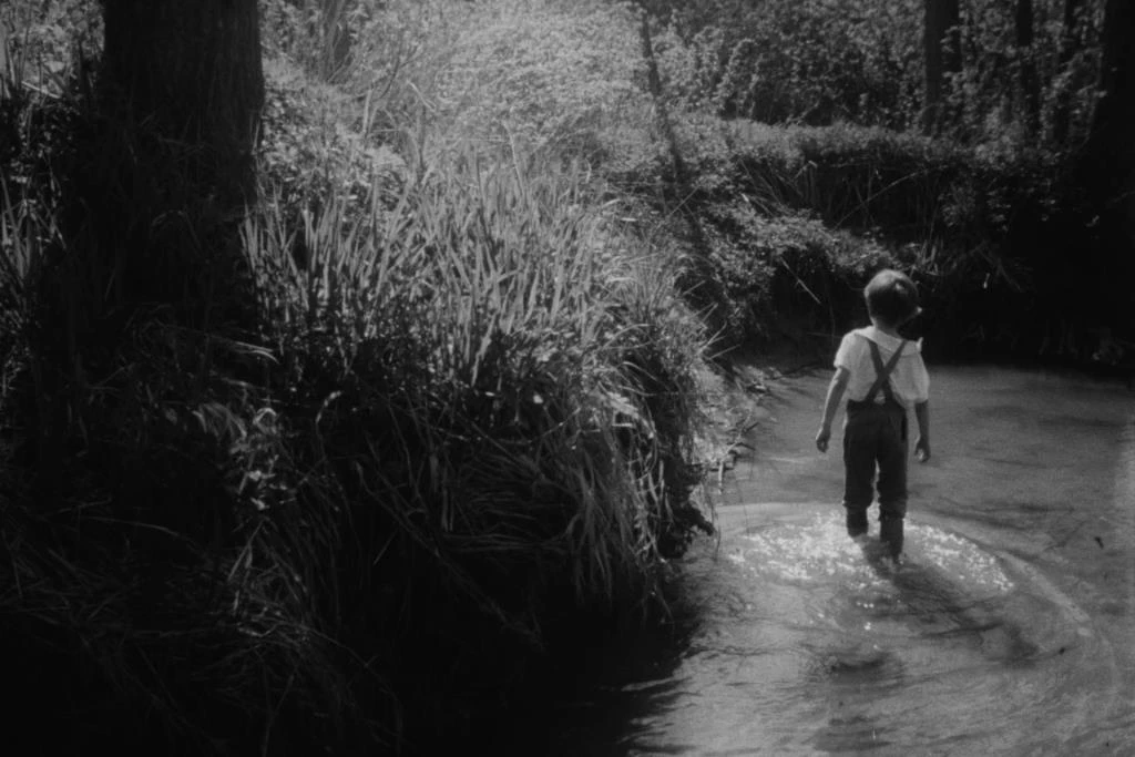 FAMU History: Filmařky 70.-80. léta (kinolektorát)